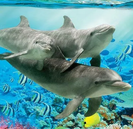 Santos Apartamento Kappel-Grafenhausen